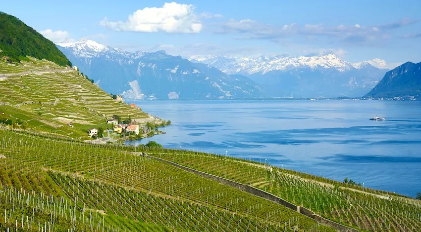 Les Terrasses de Lavaux