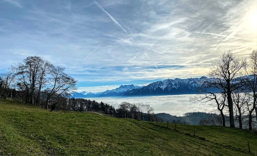 Sentier des Narcisses au Mont Pèlerin